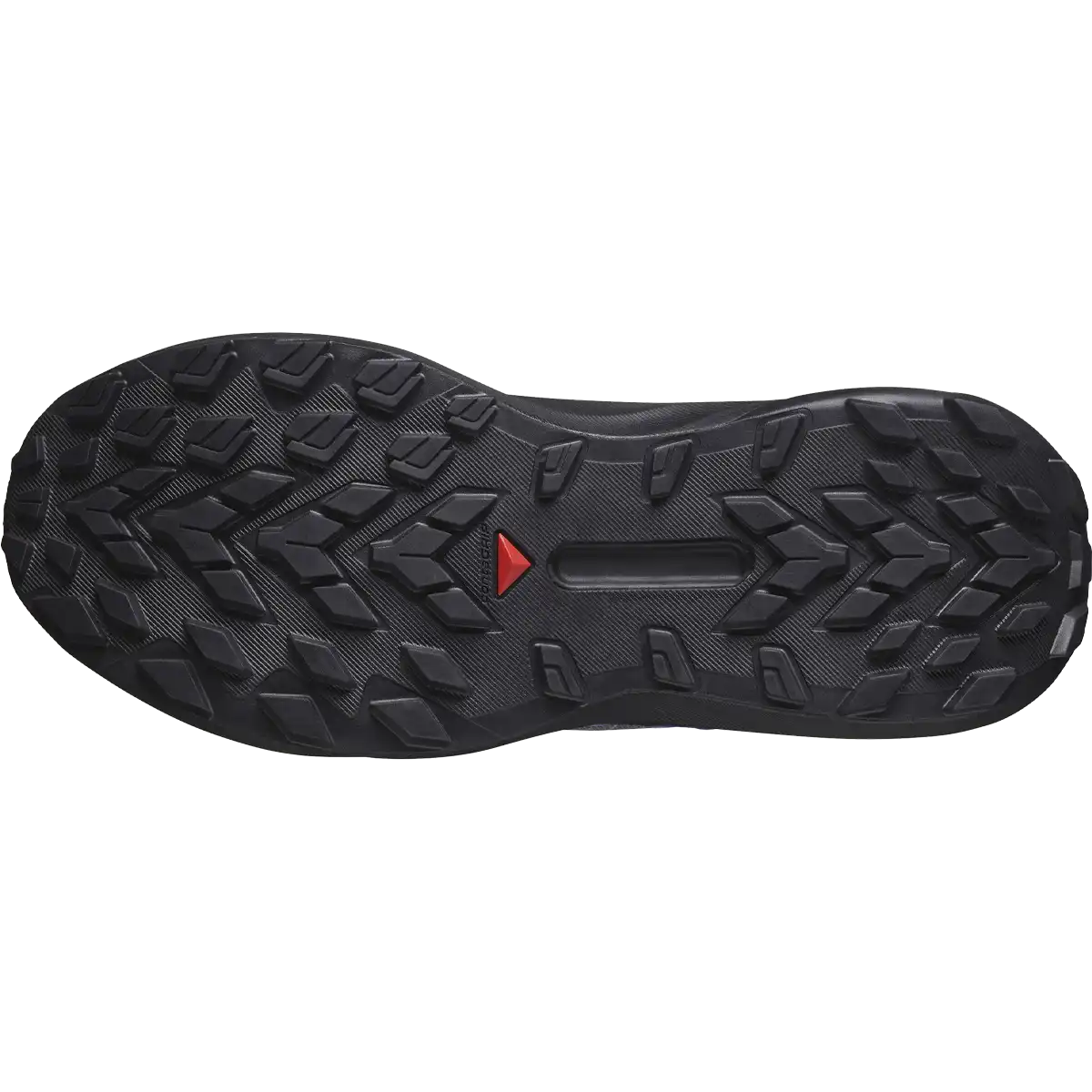 Women's Genesis