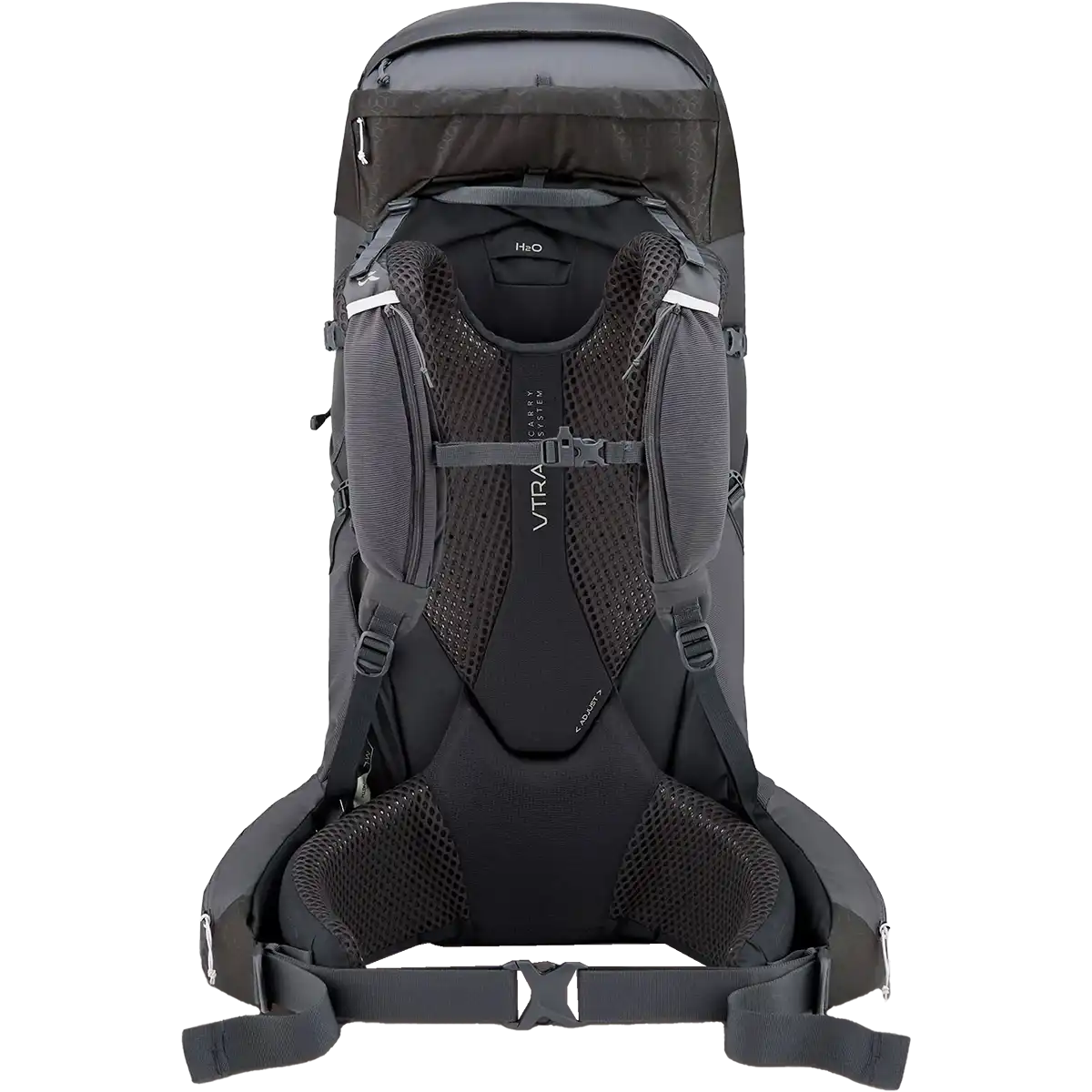 Exion 55