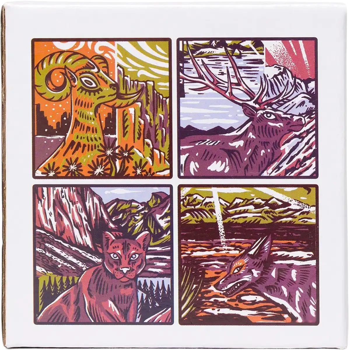 National Park Naturalist Coaster Set