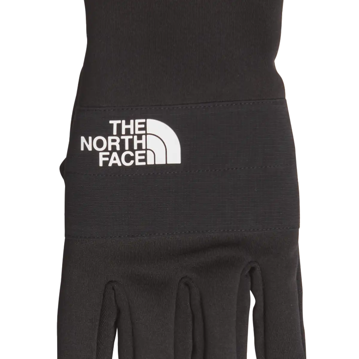 Men's Sierra Etip Glove