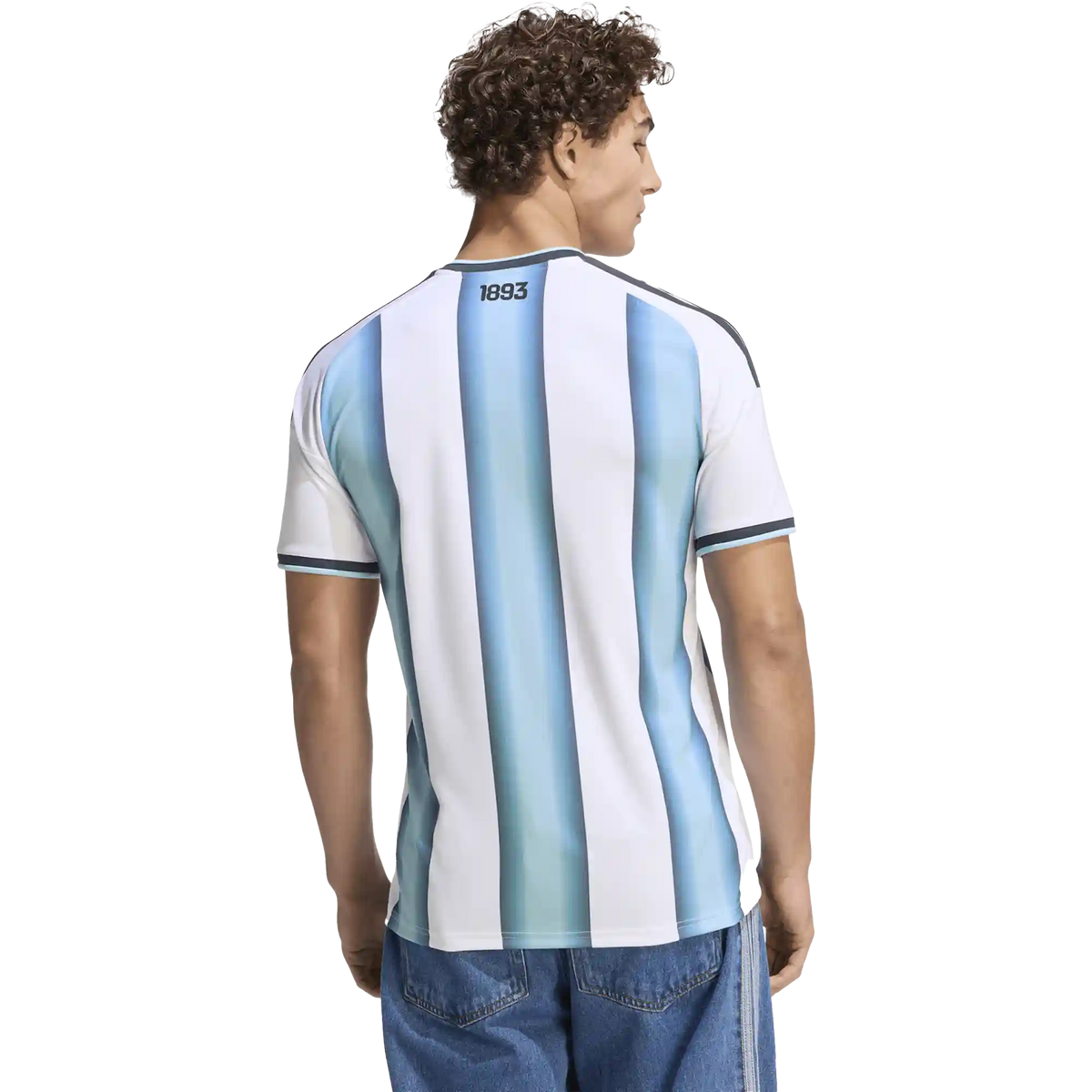 Argentina AFA Home Replica Jersey