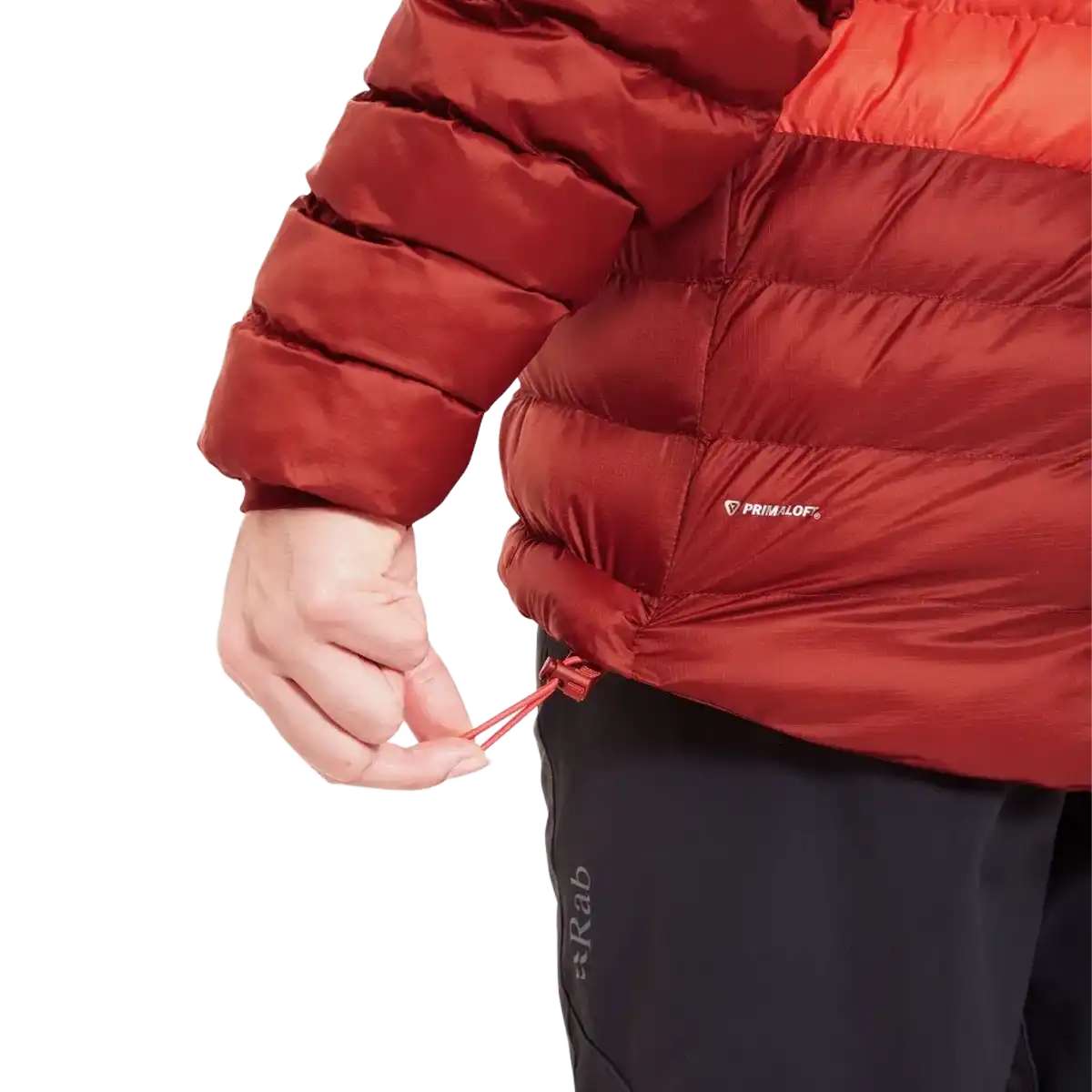 Women's Cirrus Alpine Jacket