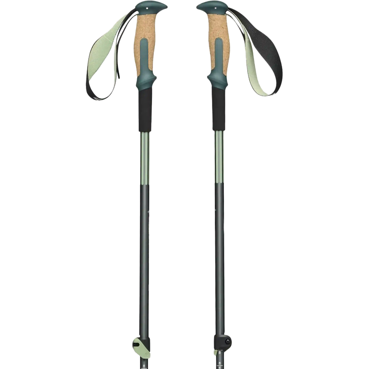 Trail Vista Shock Trekking Poles