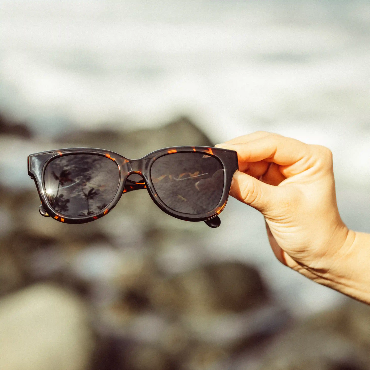 Minette Tortoise Slate