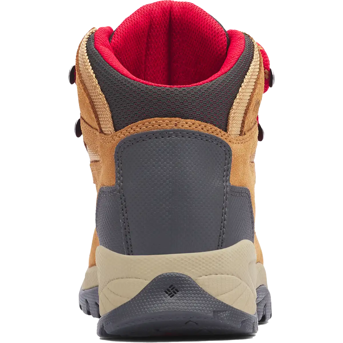 Women's Newton Ridge Plus Waterproof Amped
