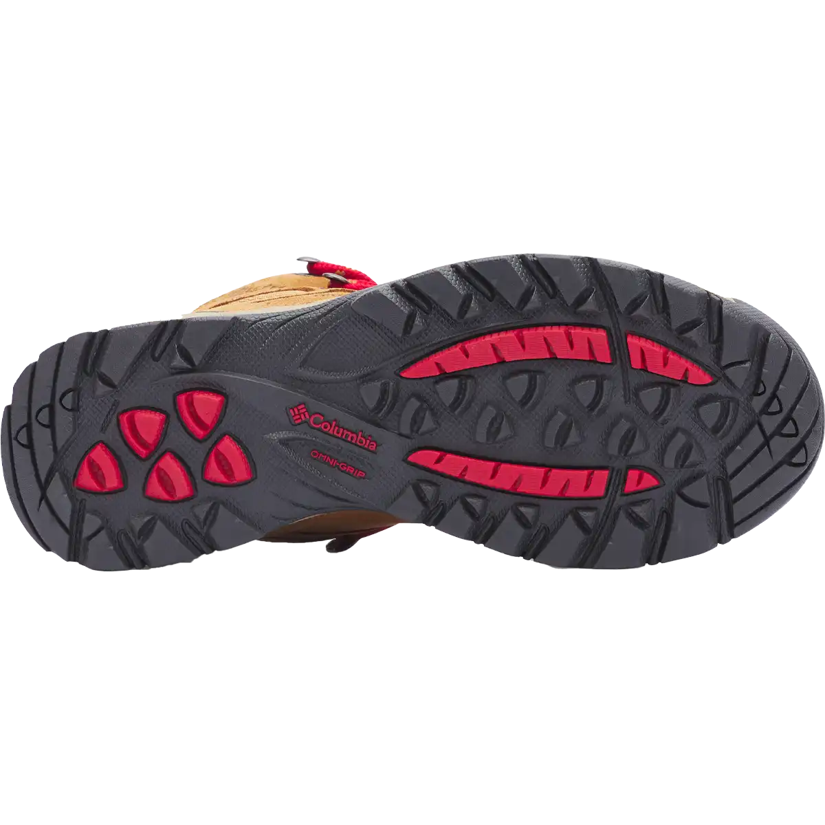 Women's Newton Ridge Plus Waterproof Amped