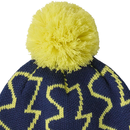 Youth Powder Town Beanie