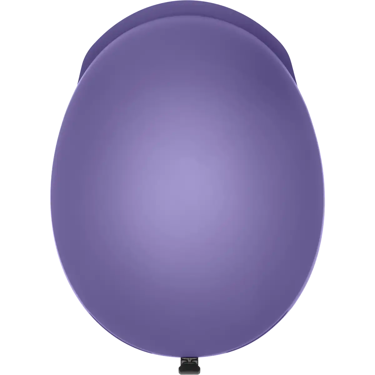 Scout MIPS