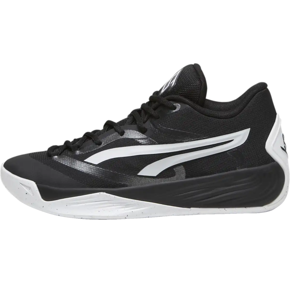 Women's Stewie 2