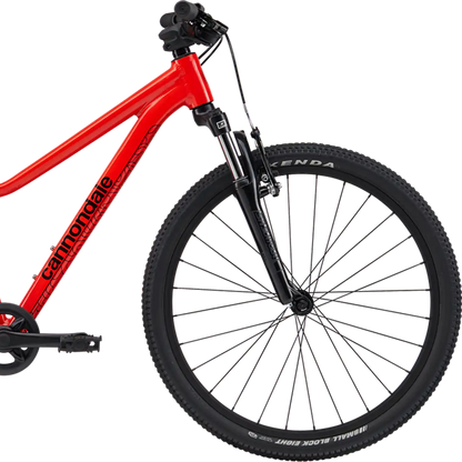 Youth Trail 24"