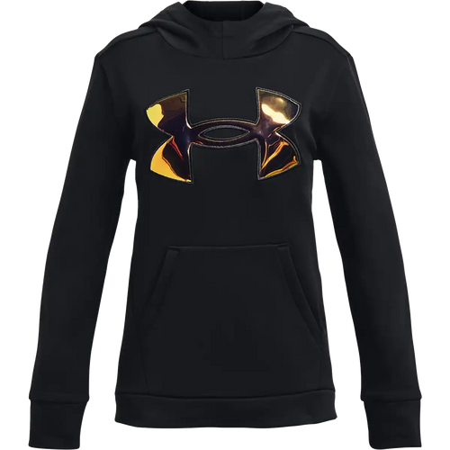 Youth Armour Fleece Iridescent Hoodie