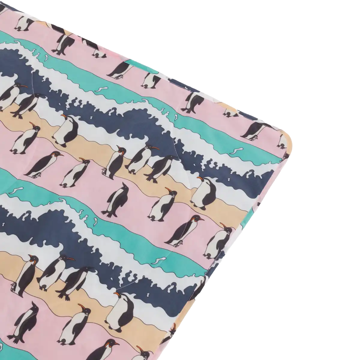 Puffy Picnic Blanket