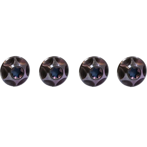 Titanium Cage Bolts Royal Purple