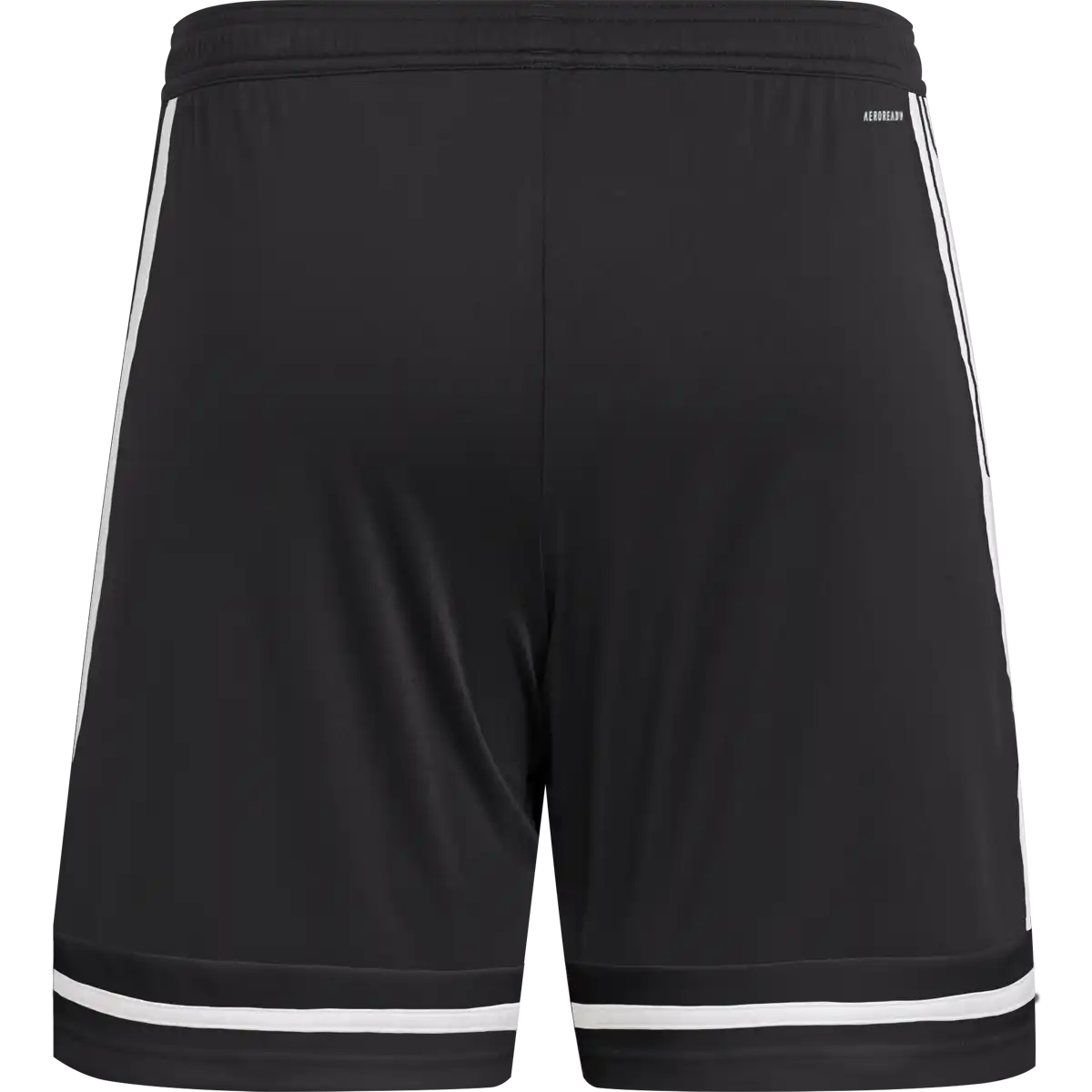 Men's Squadra 25 Shorts