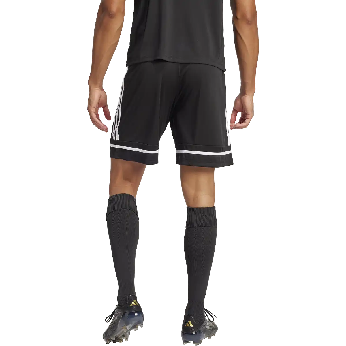 Men's Squadra 25 Shorts