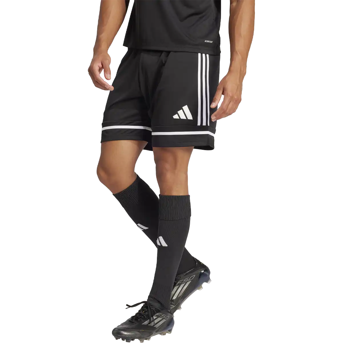Men's Squadra 25 Shorts