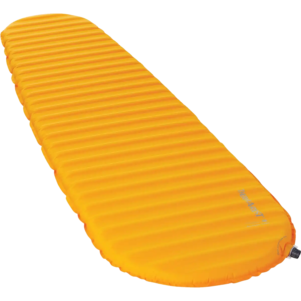 Trail ProLite Large