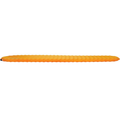 Trail ProLite Large