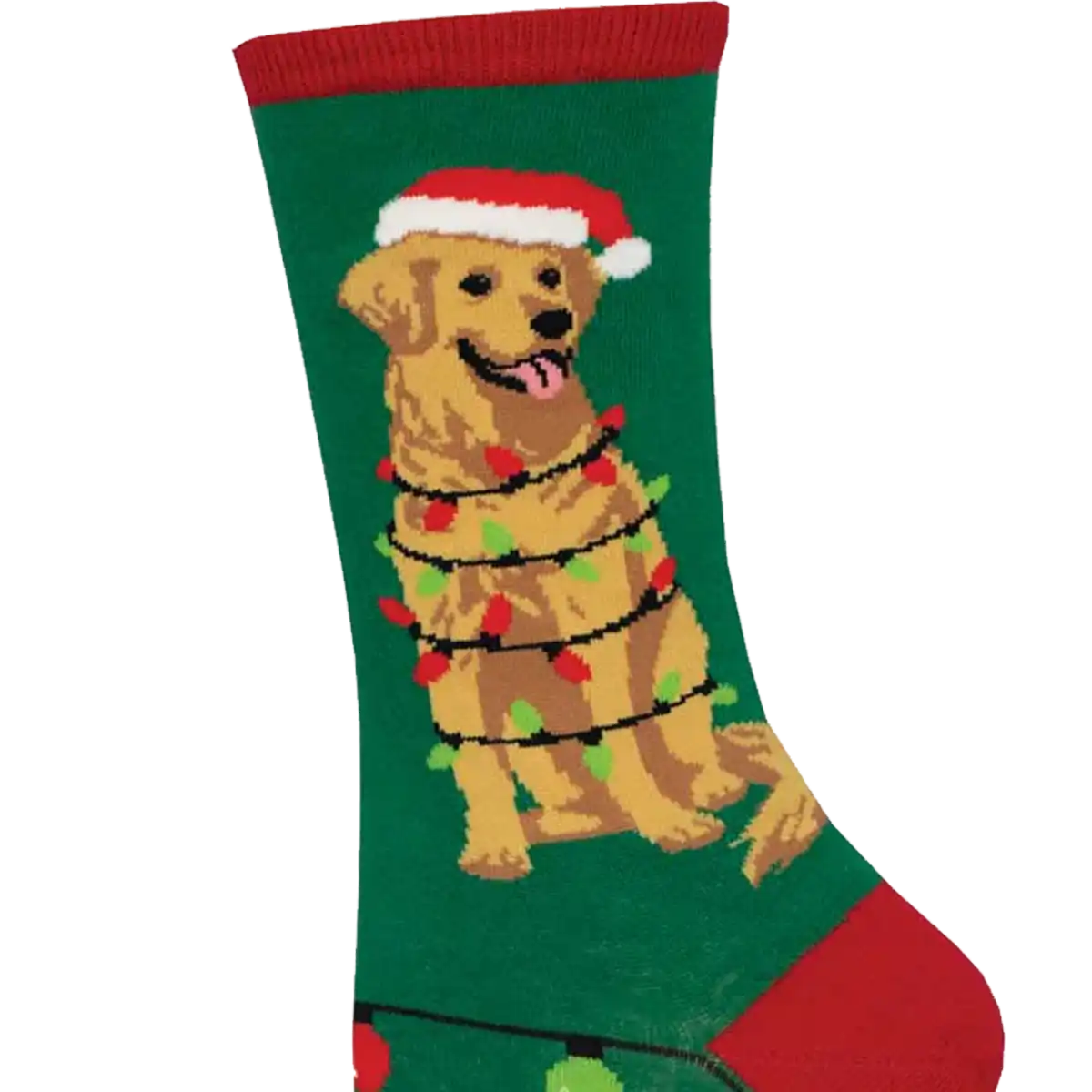 Women's Dog Gone Lights