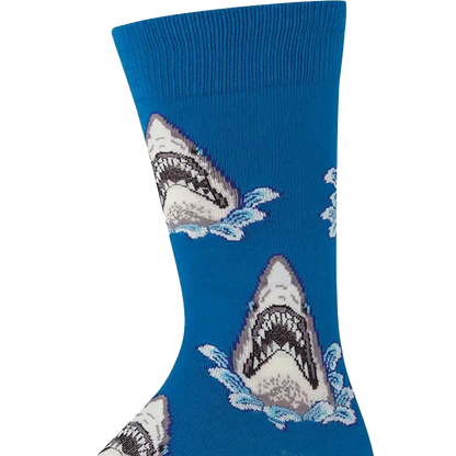 Shark Attack