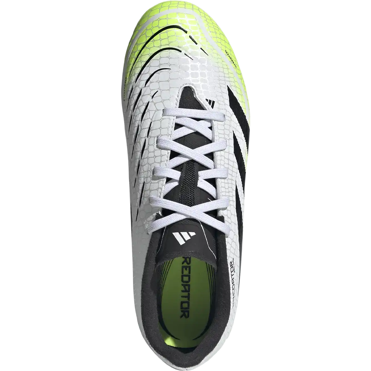 Youth Predator League FG/MG
