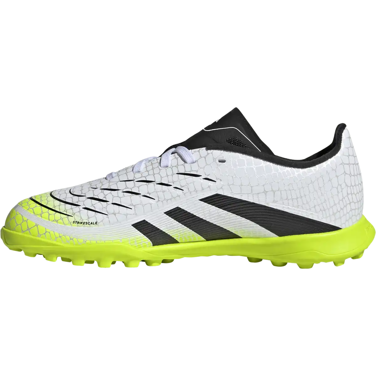 Youth Predator League TF