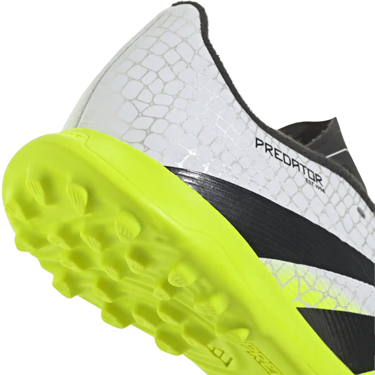 Youth Predator League TF