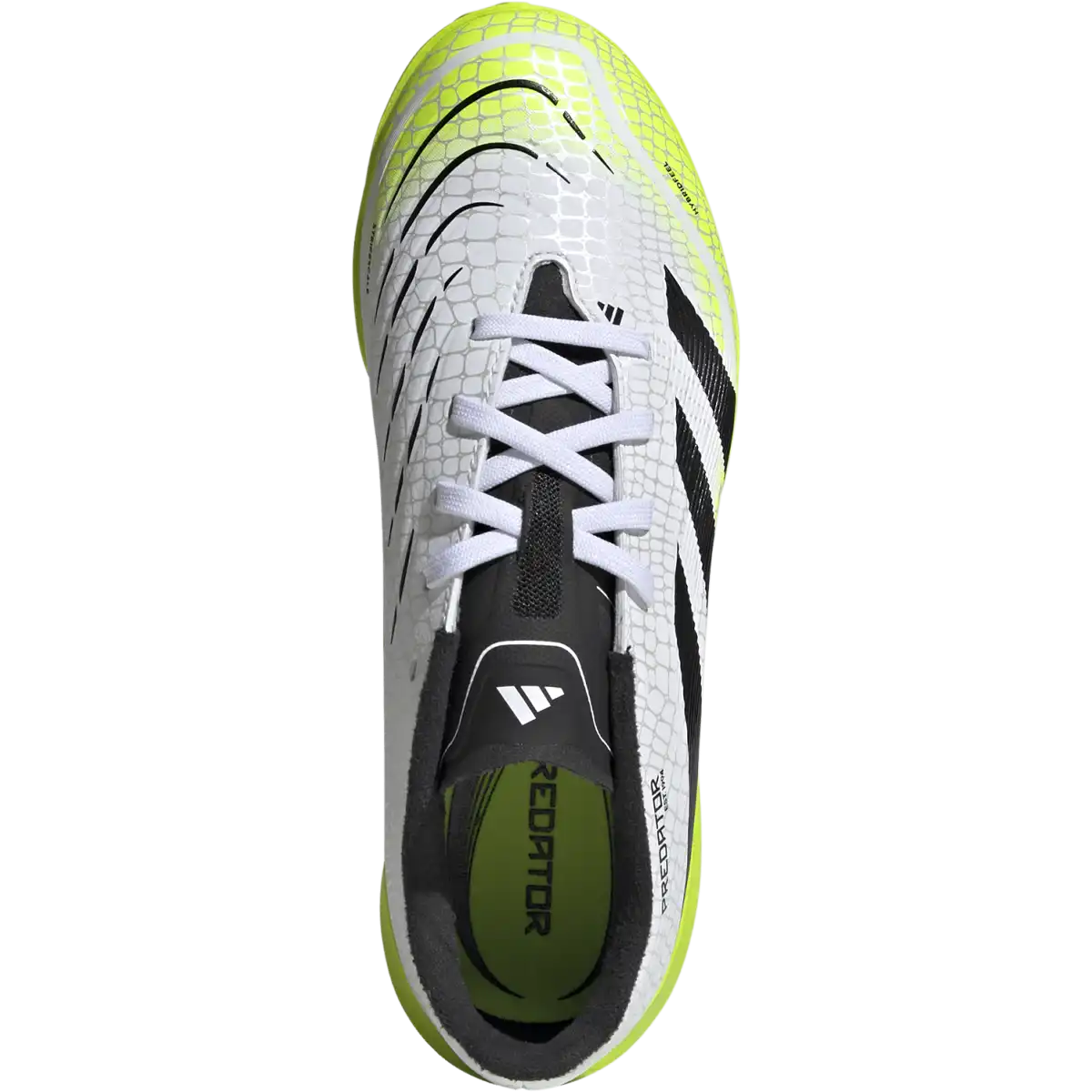 Youth Predator League TF