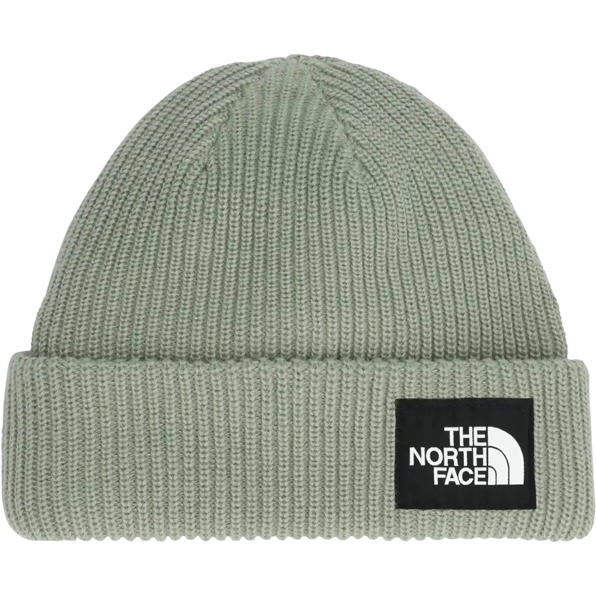 Salty Lined Beanie