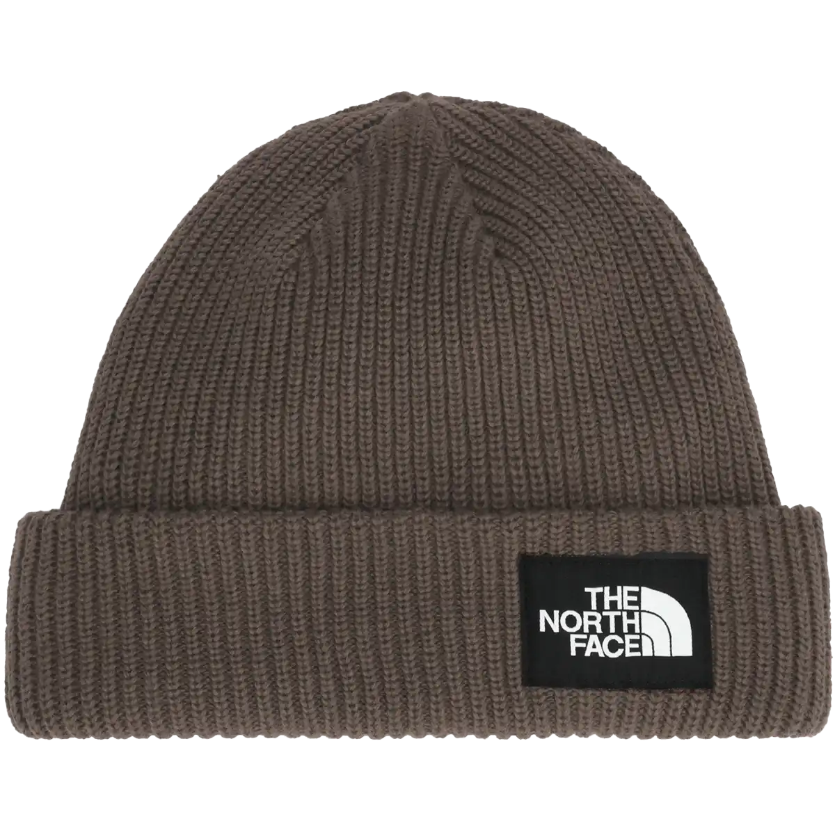 Salty Lined Beanie
