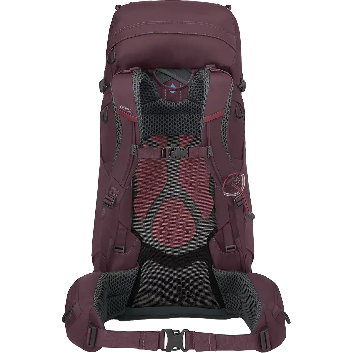 Women's Kyte 48