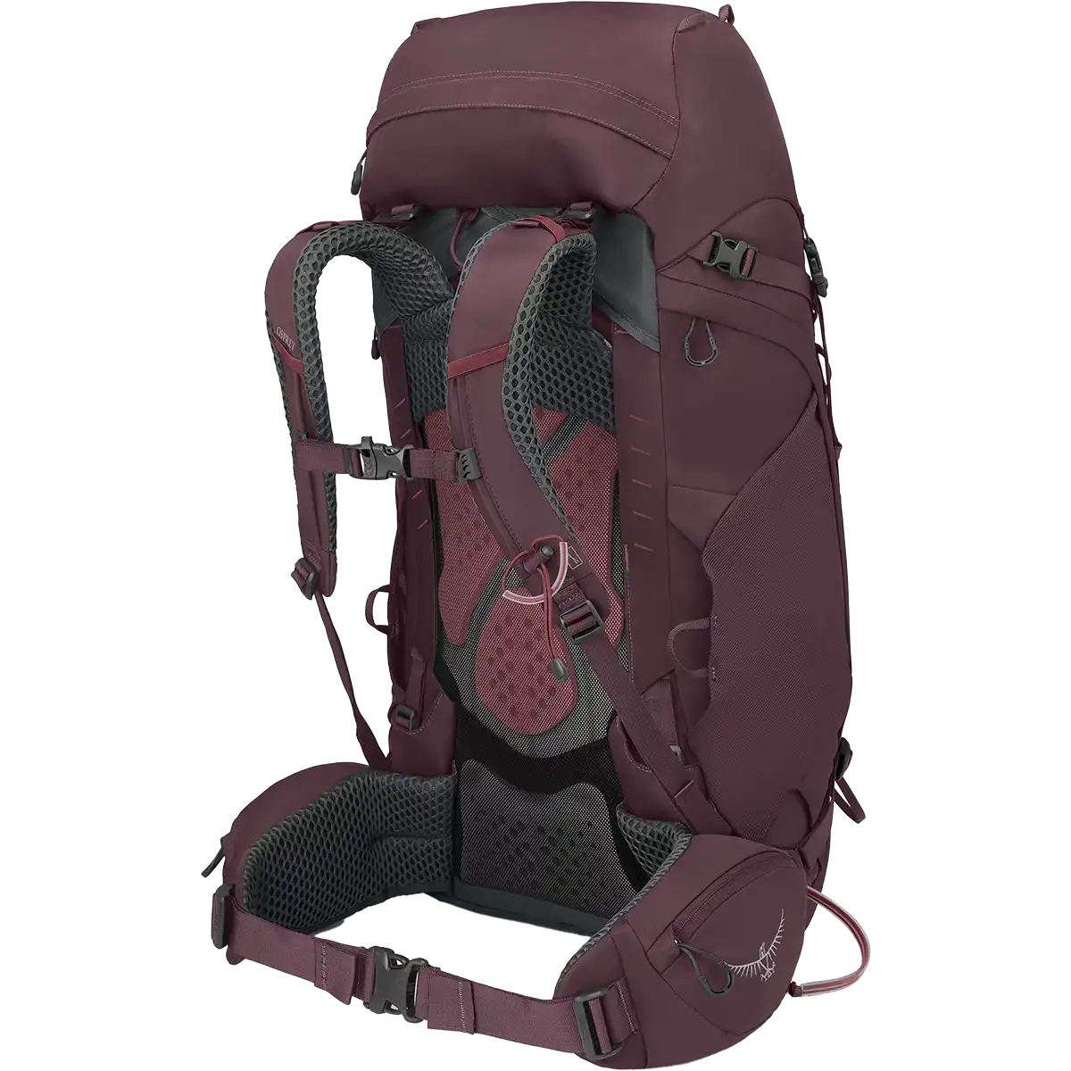 Women's Kyte 48