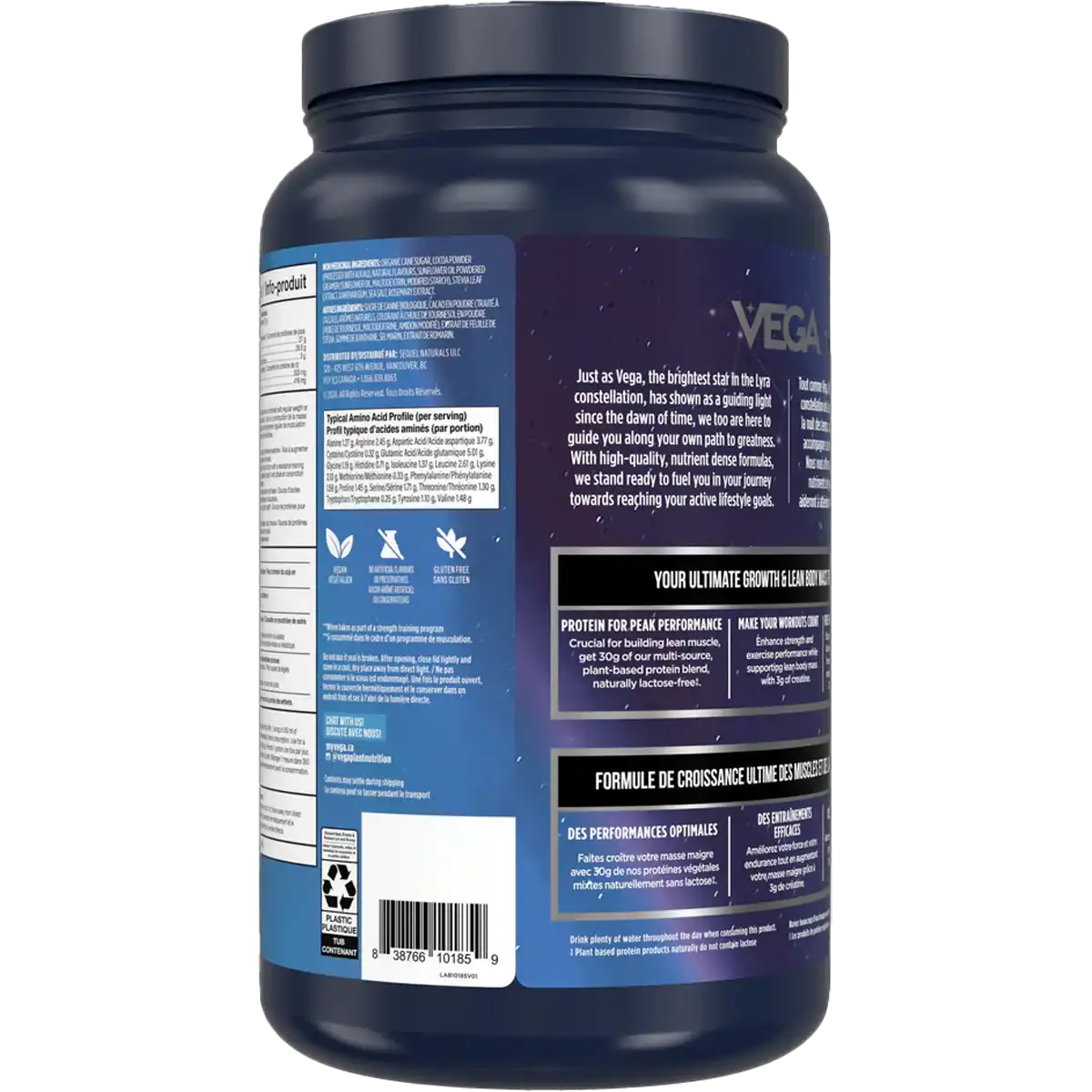 Protein + Creatine (13 Servings)