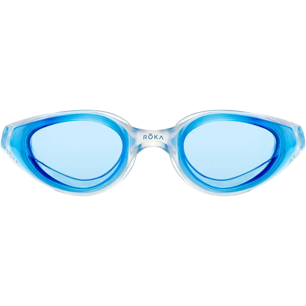 R1 Goggle