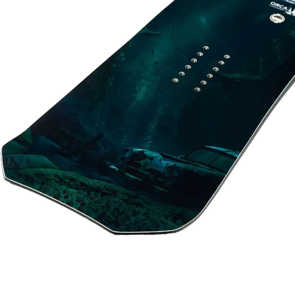 Orca