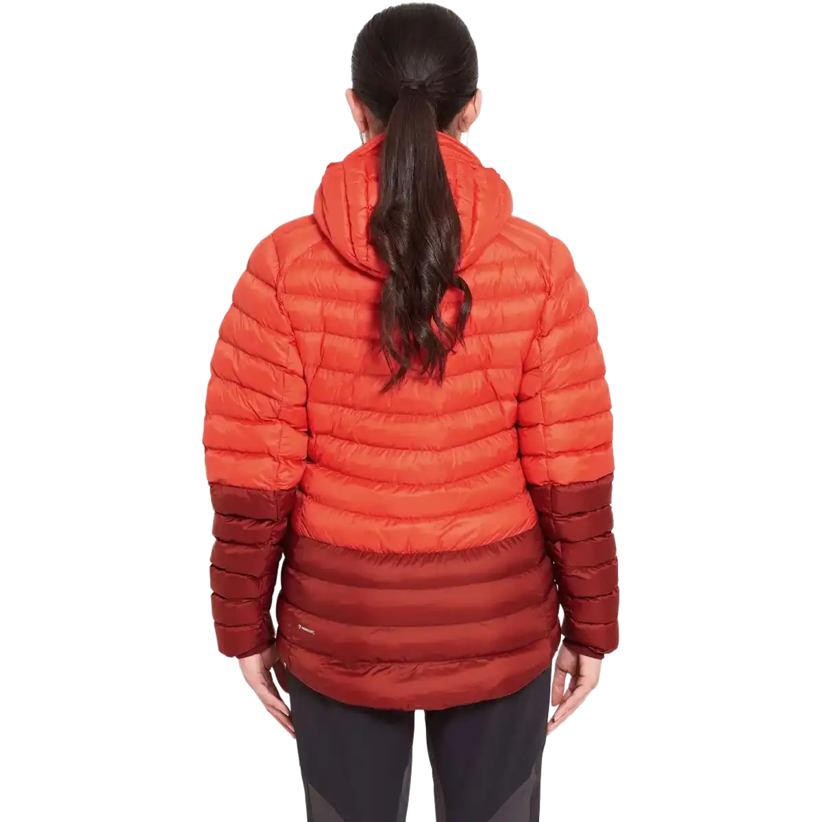 Women's Cirrus Alpine Jacket