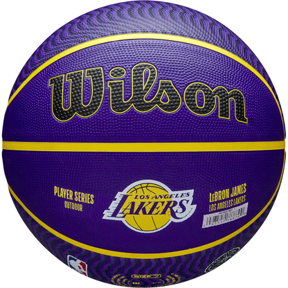 NBA Player Icon Outdoor Lebron