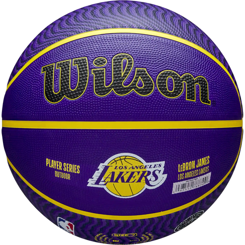 NBA Player Icon Outdoor Lebron