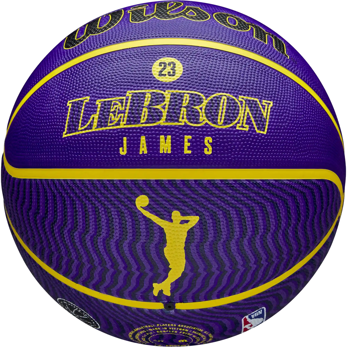NBA Player Icon Outdoor Lebron