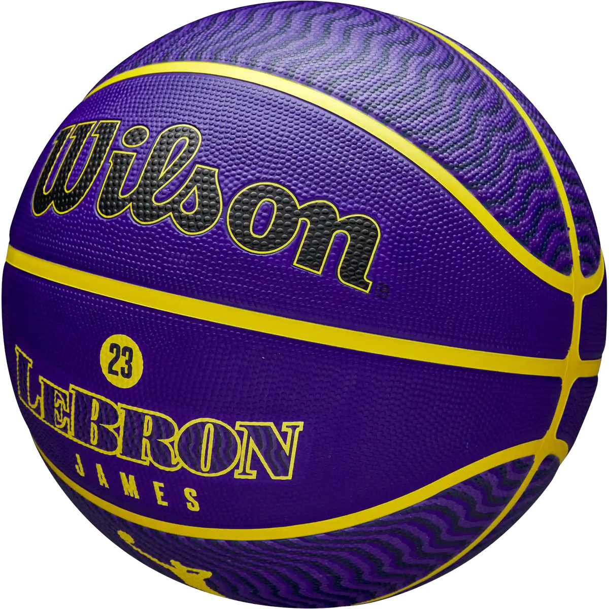 NBA Player Icon Outdoor Lebron