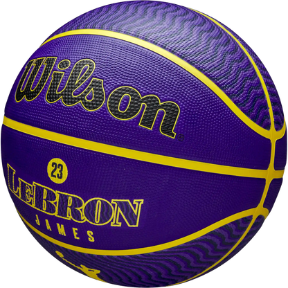 NBA Player Icon Outdoor Lebron