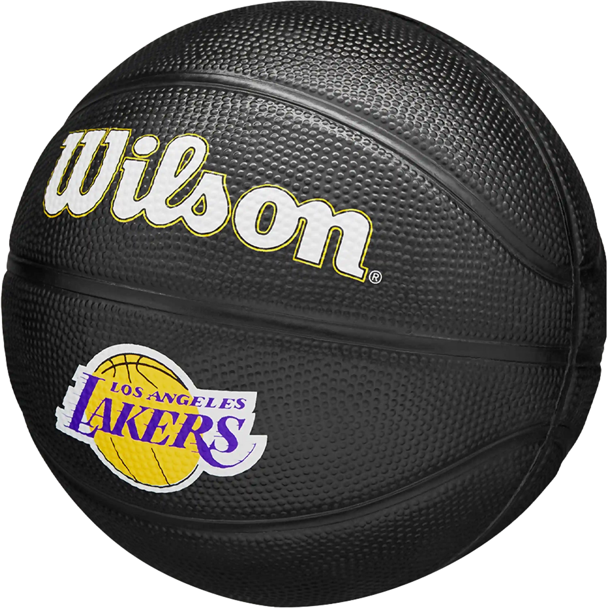 NBA Team Tribute Mini LA Lakers