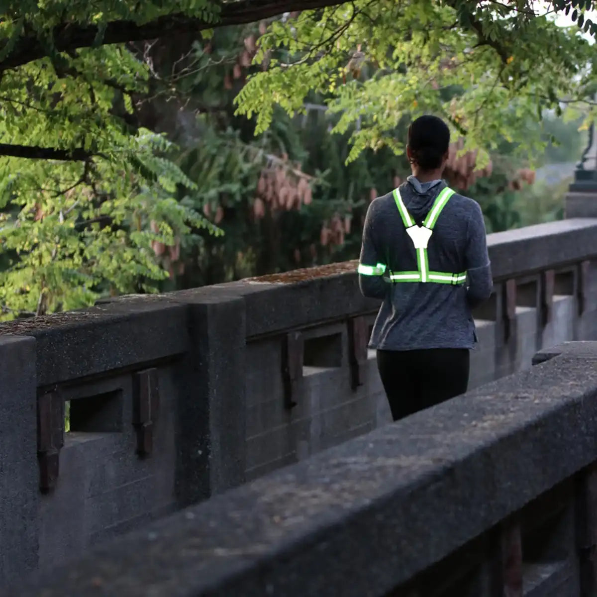 Xinglet Vest