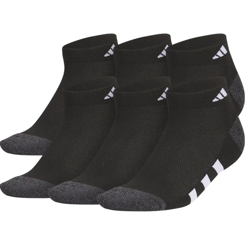 Youth Cushion Mixed 6-Pack Low Cut