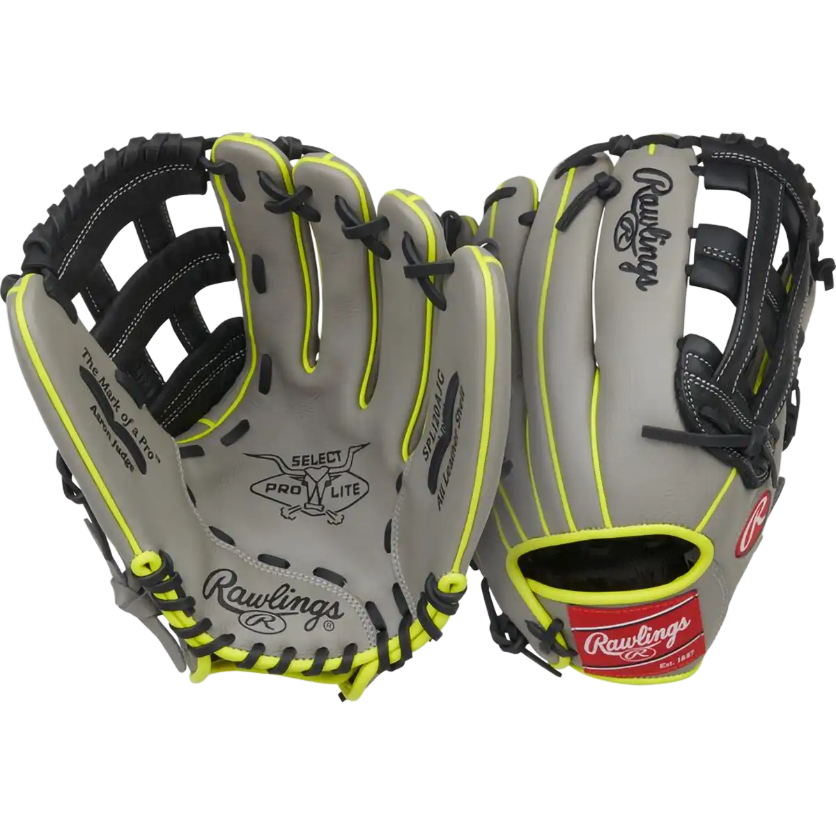Youth Select Pro Lite Judge 12" H-Web