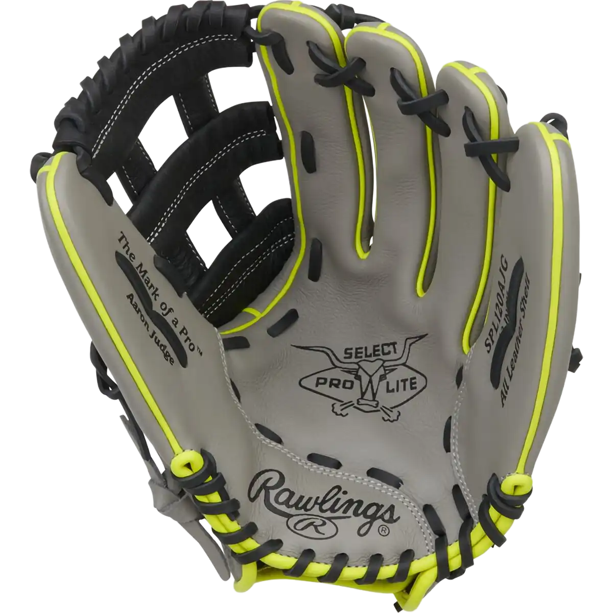 Youth Select Pro Lite Judge 12" H-Web