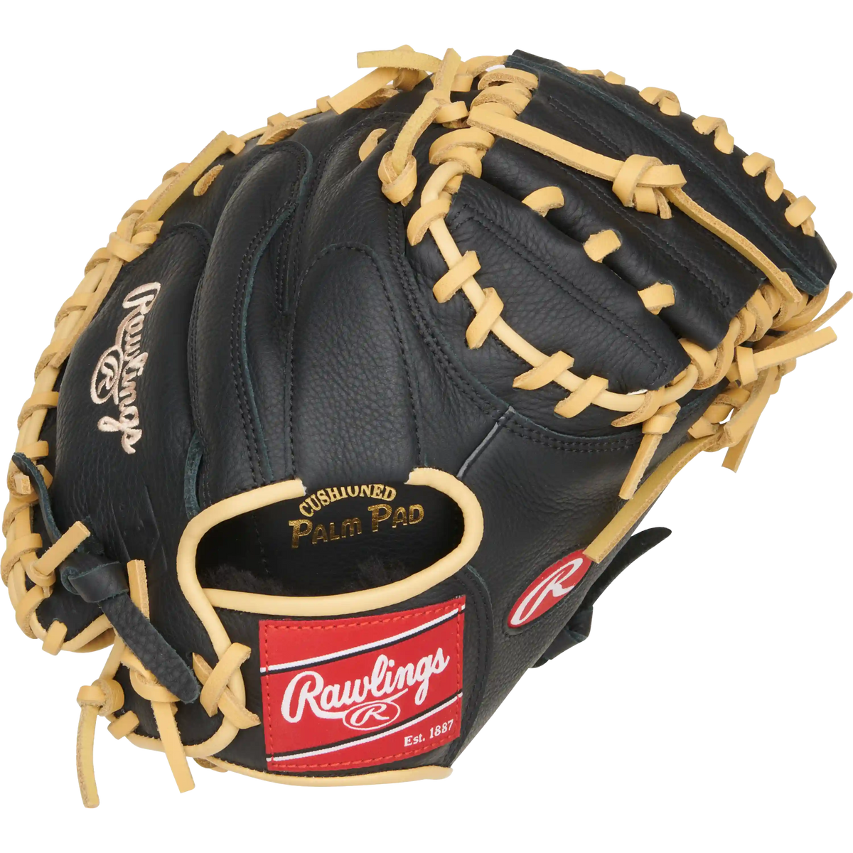 Youth Select Pro Lite Catcher's Mitt - 32" Solid Web