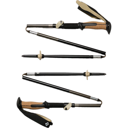 Trail Vista FLZ Trekking Poles