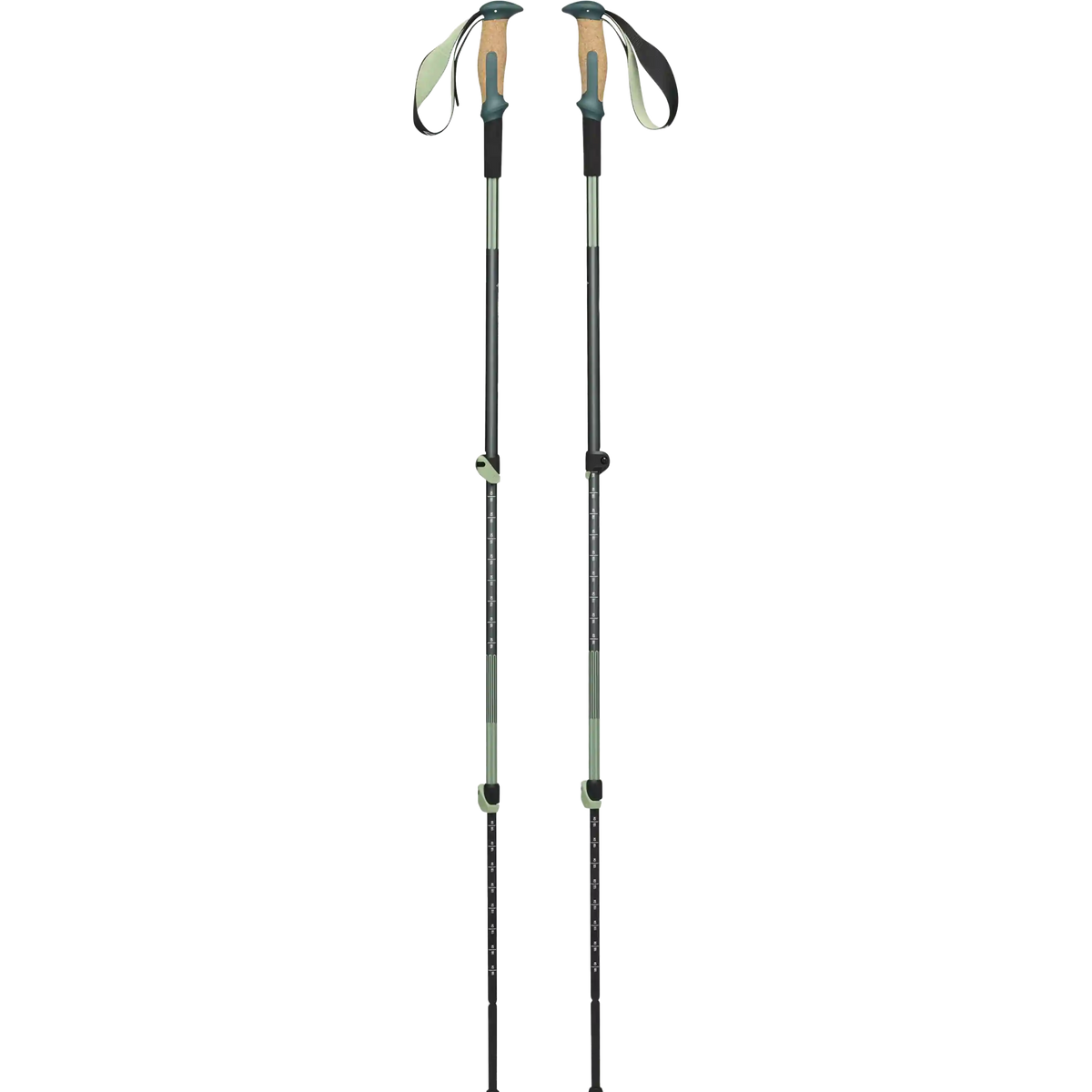 Trail Vista Shock Trekking Poles