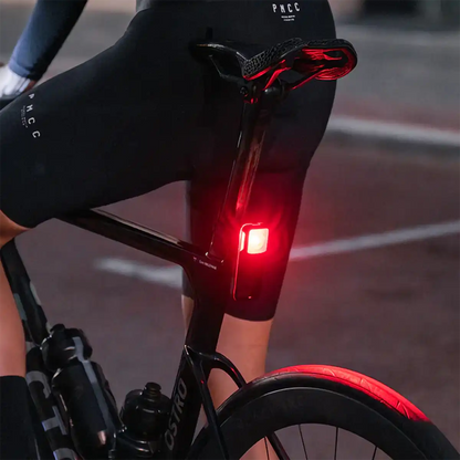 NT201 Tail Light